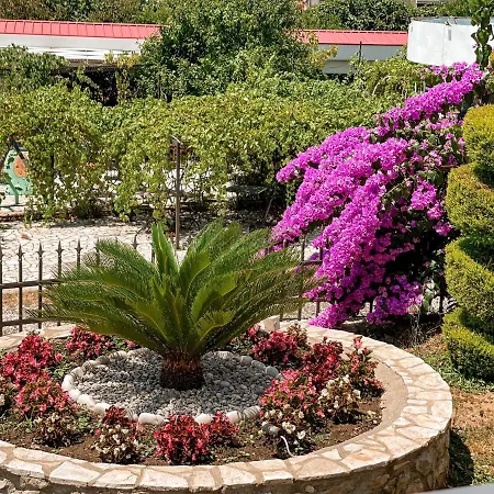 Rejhan Totti Ulcinj Esterno foto